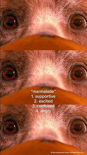 Paddington | "Marmalade"