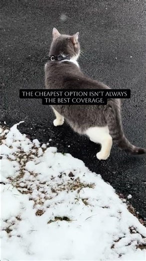 How much is home insurance in Ohio? What homeowners should know. OH | IN | KY