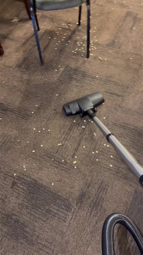 Essential Hoovering Tips for Spotless Spaces