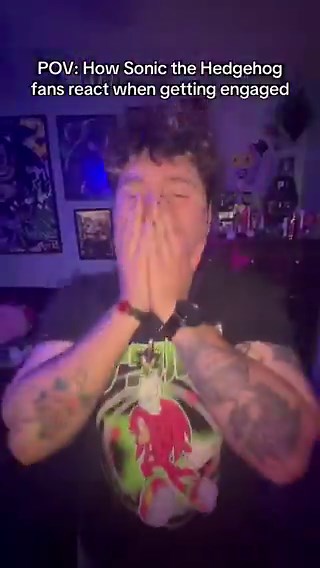 RT @NuMetalHedgehog: Sonic fans when they get proposed be like