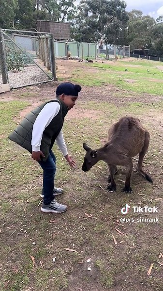 Simran Kandhari ♠️ on TikTok