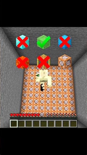 Which blocks in Minecraft will cause damage if dropped on them ?☠️#minecraft #shorts
