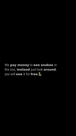 Don't pay to see Snakes #snakes #quotes
