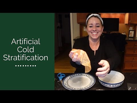 How I Artificially Cold Stratify Native Plant Seeds using the Refrigerator and Freezer