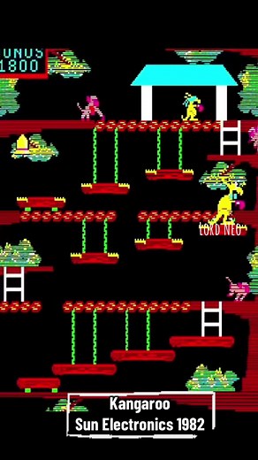 Kangaroo: Unleashing Retro Gaming Fun