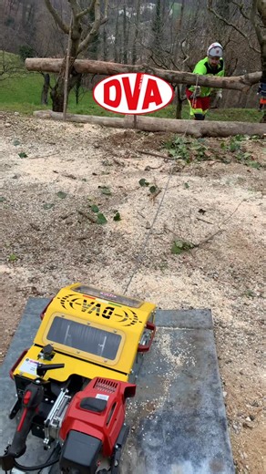 DVA srl on Instagram: "DVA 1734 EVO Forest Winch ⬇️ Direct pull: 1750Kg Double pull: 3500Kg #winch #undercut #dva #verricello #timber"