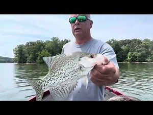 Loading Up on Brush - Crappie Fishing - High Rock Lake