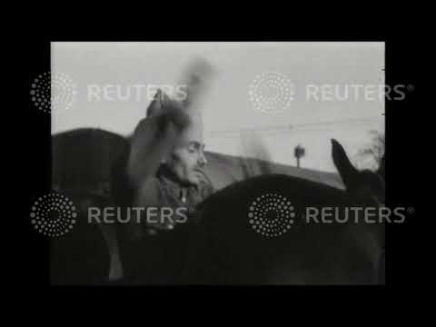 1940 FRANCE / DEFENCE: World War 2: Indian mules carry supplies to front