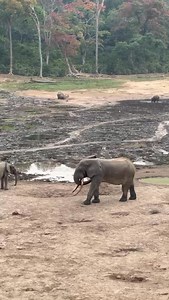 Tourisme Au Congo on Reels
