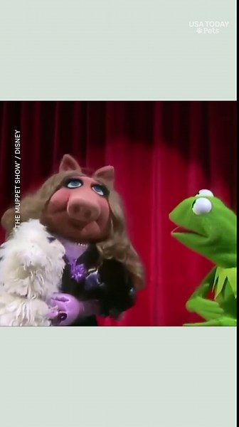Kermit shares funny moment with Miss Piggy’s dog Foo Foo
