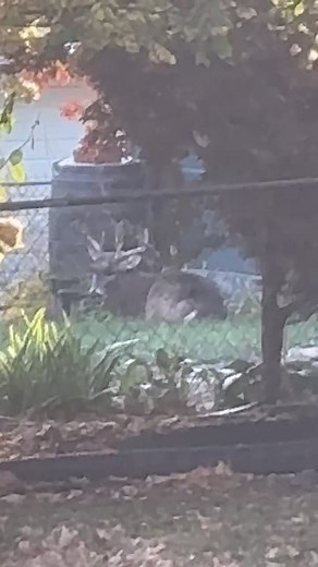 DSM neighborhood. | Iowa Bow Hunter