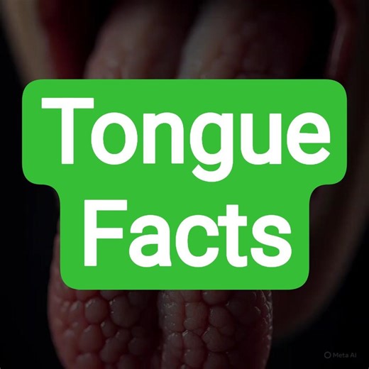 Tongue Facts | Human Body Facts | Unique Body Facts | Did You Know Body | Amazing Body Facts