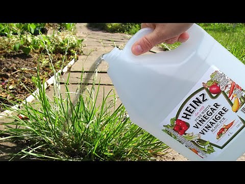 How to Garden With Vinegar