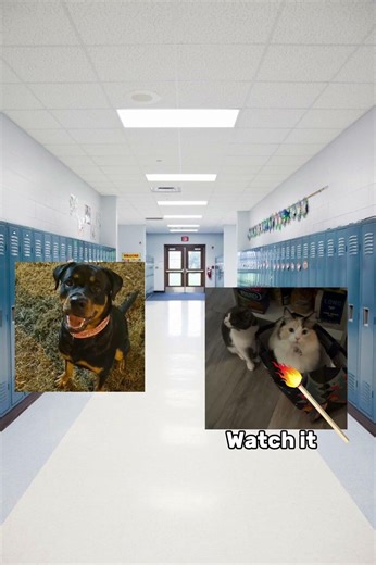 My first time using cap cut