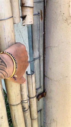 Pool Service | Skateboard Sessions 🐠🏊‍♂️ #skateboarding #skate #skateboard