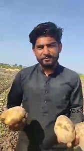 Pakistani agriculture on Reels