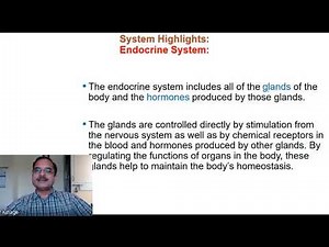 Lecture 2 Biomedical Instrumentation