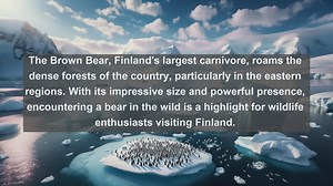 Discovering Finland’s Natural Wonders: Top 10 Native Fauna