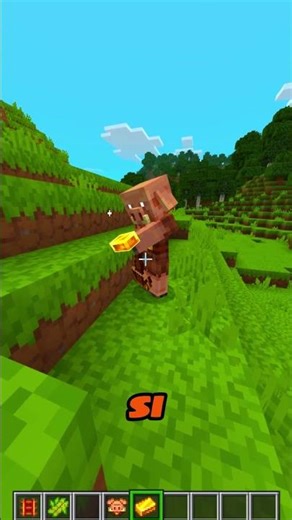 Diferencias Minecraft JAVA VS BEDROCK #10