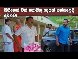 Paata Kurullo - sihinanwath nosithu dayak pansaladi wenawa