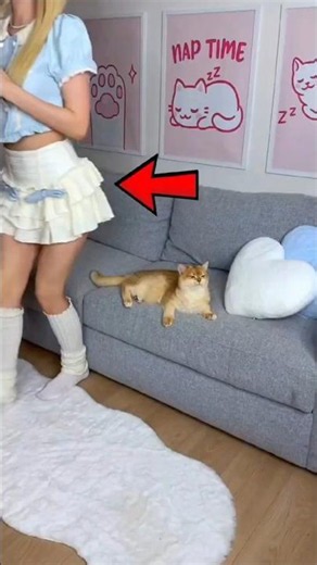 Kept Annoying Her Cat... Then the Cat Got Revenge! 😱🐱