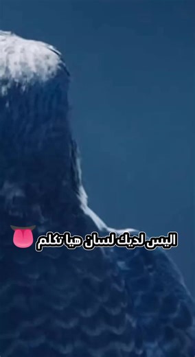 Hawk Close-Up: Features and Characteristics