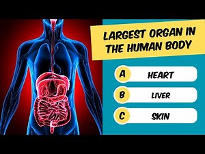 "How Good is Your 💡 50 Science Quiz Questions 🌟 to Test Your Knowledge? 🧪"