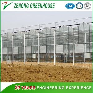 [Hot Item] Intelligent/Automatic Control Glass Greenhouse with Nft Hydroponic Cultivation System