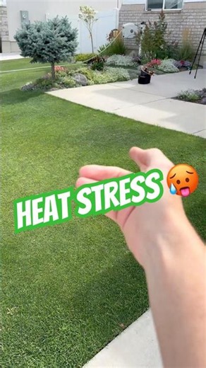 Help your lawn, recover from heat stress, and hydrophobic soil. #lawn #lawntips #lawncare #diy