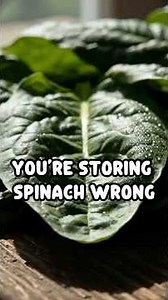 “You’re Storing Spinach Wrong