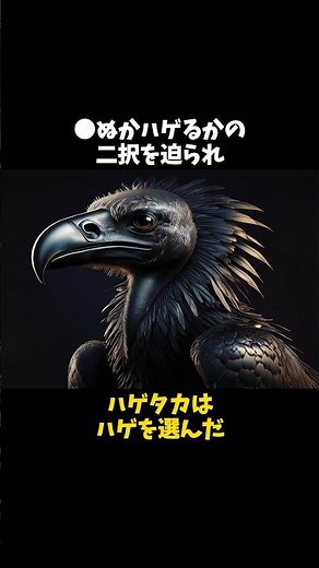 究極の2択を強いられたハゲタカの雑学 #ハゲタカ #動物 #雑学