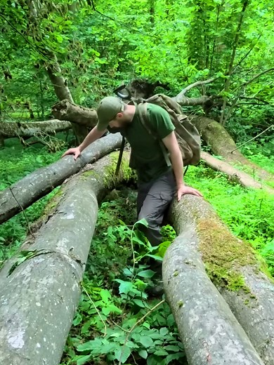 #campinglife #survi̇vor2020 #camping #solosurvival #primitiveskills #solocamping #survival #duvivas #primitivecamping #bushcraft