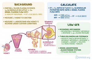 Filtration Fraction: What Is It, How to Calculate, and More | Osmosis