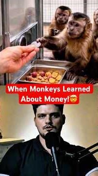 Scientists Gave Monkeys Money… Then This Happened
