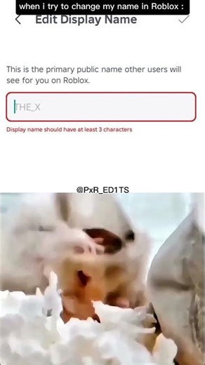 whenever i want to change my name in Roblox 😂😂#roblox#robloxedit#funny