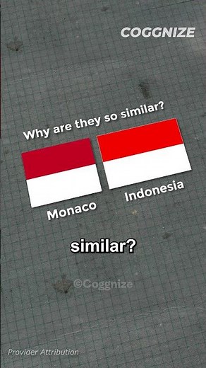 Why Do Indonesia And Monaco Have Similar Flag? #shorts