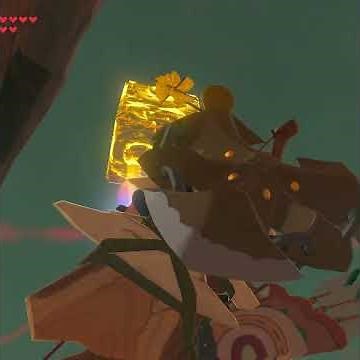 【ブレワイ】フロリア湖のコログ 見た目より難しい ゼルダの伝説ブレスオブザワイルド #ゼルダの伝説 #ブレワイ #zelda #shorts