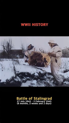 BATTLE OF STALINGRAD, the fiercest battle on the Eastern Front in the Second World War #ww2 #history