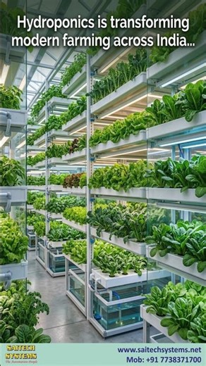 Automatic pH & EC Dosing System for Hydroponics | Smart Farming India 🌱 #hydroponics