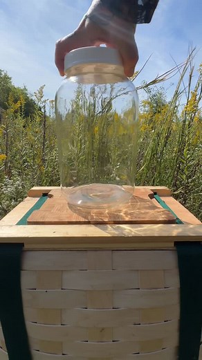 6K views · 1.3K reactions | Goldenrod is one of those plants that’s...