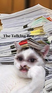 বাবা রে বাবা🤧🤧 | The Talking Bro