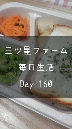 【Day160】三ツ星朝ごはん とろけるクロックムッシュ｜三ツ星ファーム毎日生活