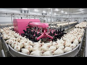 30 Minutes Satisfying | Exciting Factory Production Line & Factory Machines #3