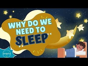 Why is sleep so important? Why do we need to sleep? | Educational kids video