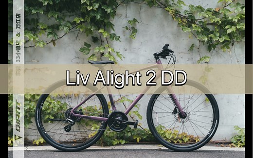 Liv女生的单车Alight 2 DD灰紫色 平把公路车 乌梅子酱