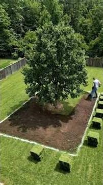 I Built a SECRET Underground Bunker in My Backyard (Hidden Under a Tree!) 🌳