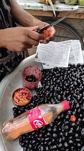 72K views · 22 reactions | Java Plum Fruits Masala Mixed Vorta - Street Food India | Food Explorer | Facebook