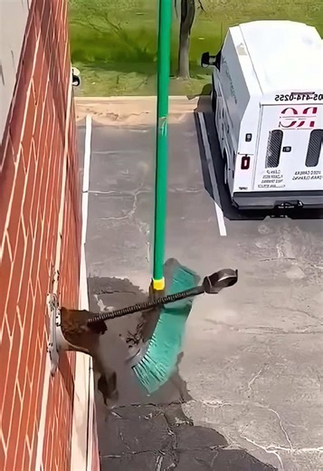 Satisfying Work Moments That Will Amaze You