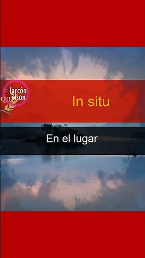 What does "In situ" mean? #whatdoesitmean #insitu #Latin | @alarconnelson
