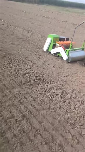 Electric Vegetable Precision Seeder Working#播种机